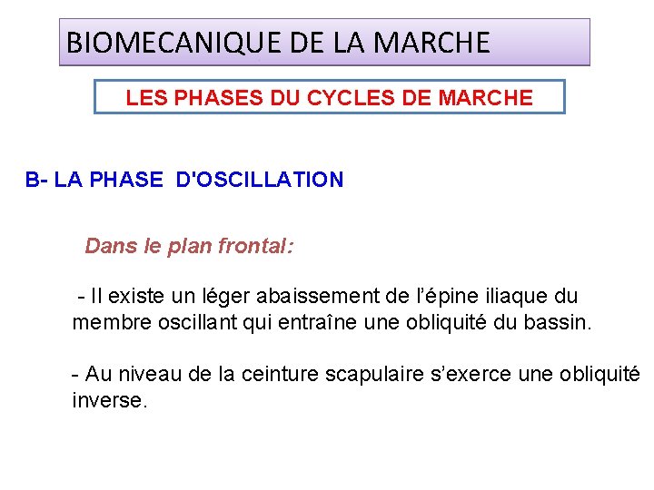 BIOMECANIQUE DE LA MARCHE LES PHASES DU CYCLES DE MARCHE B- LA PHASE D'OSCILLATION