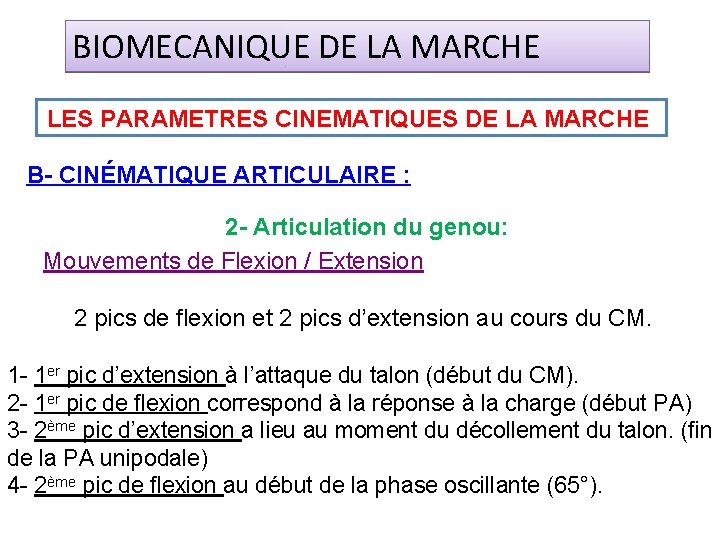 BIOMECANIQUE DE LA MARCHE LES PARAMETRES CINEMATIQUES DE LA MARCHE B- CINÉMATIQUE ARTICULAIRE :