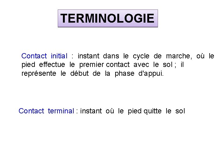 TERMINOLOGIE Contact initial : instant dans le cycle de marche, où le pied effectue