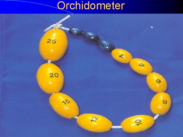 Orchidometer 