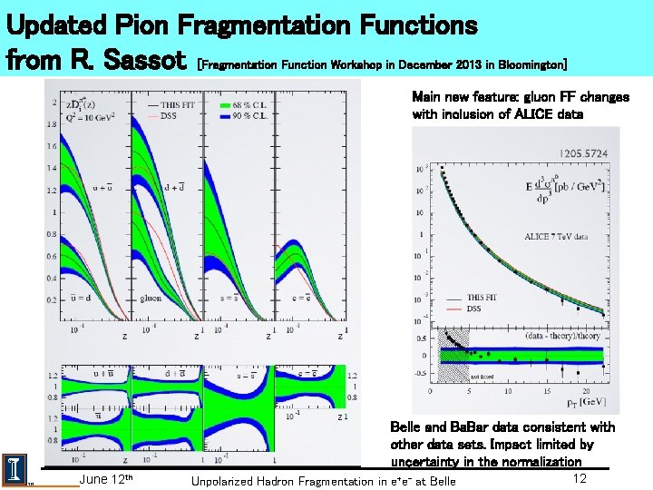 Updated Pion Fragmentation Functions from R. Sassot [Fragmentation Function Workshop in December 2013 in