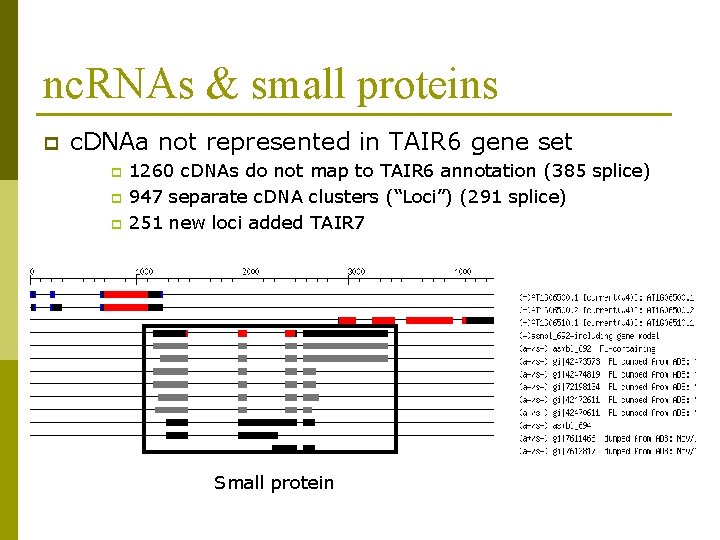 nc. RNAs & small proteins p c. DNAa not represented in TAIR 6 gene