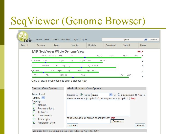 Seq. Viewer (Genome Browser) 