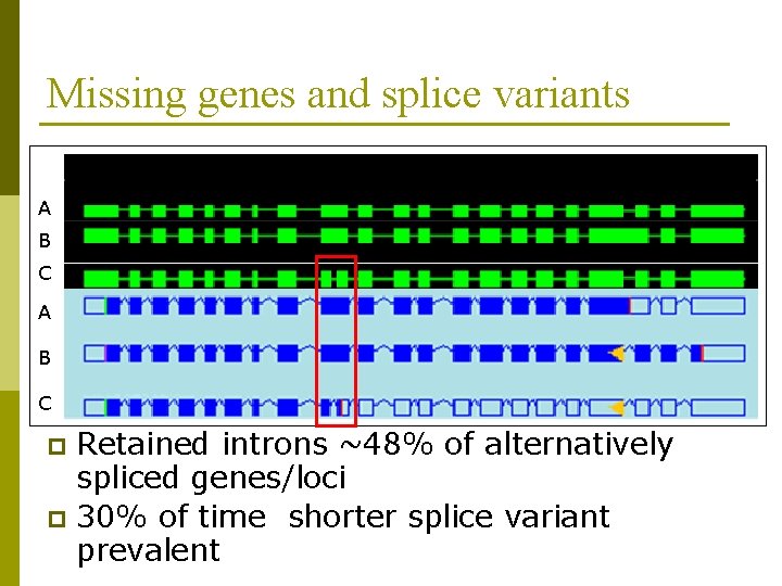 Missing genes and splice variants Continued identification of missing genes B p Alternative splicing
