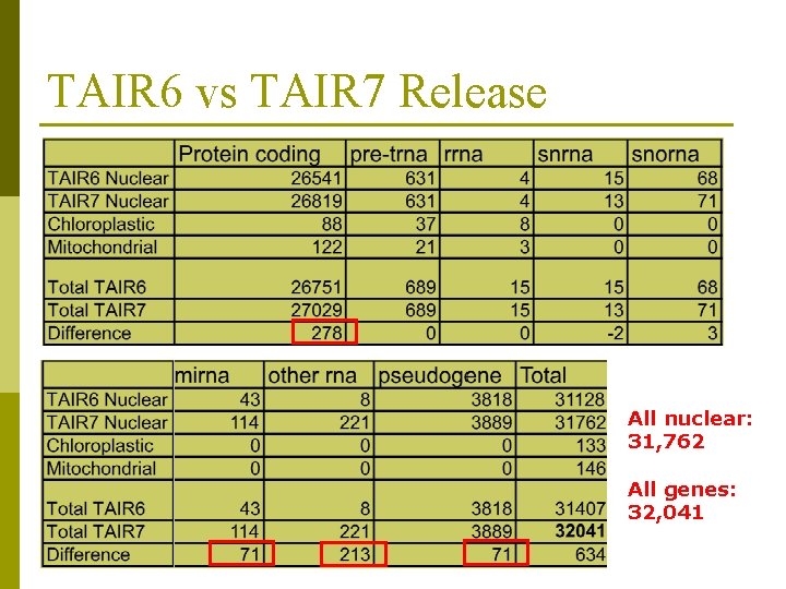 TAIR 6 vs TAIR 7 Release All nuclear: 31, 762 All genes: 32, 041