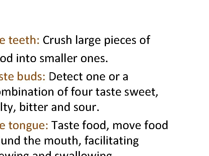 e teeth: Crush large pieces of od into smaller ones. ste buds: Detect one