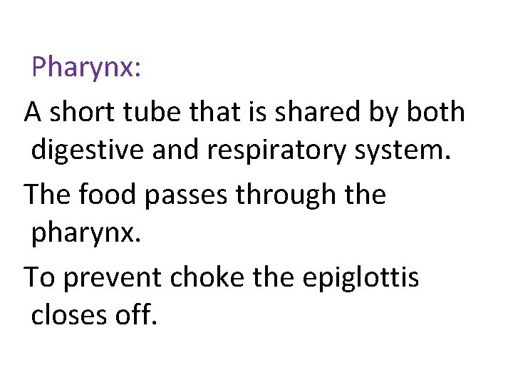 Pharynx: A short tube that is shared by both digestive and respiratory system. The