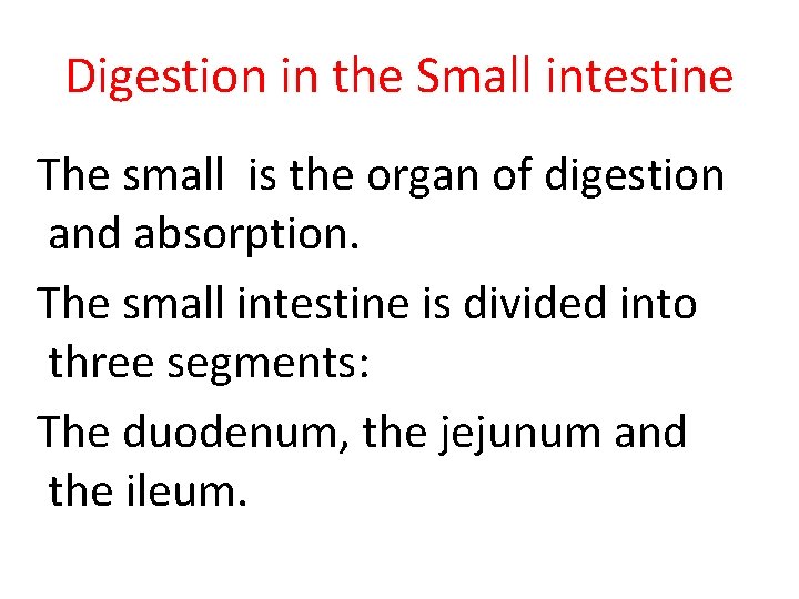 Digestion in the Small intestine The small is the organ of digestion and absorption.