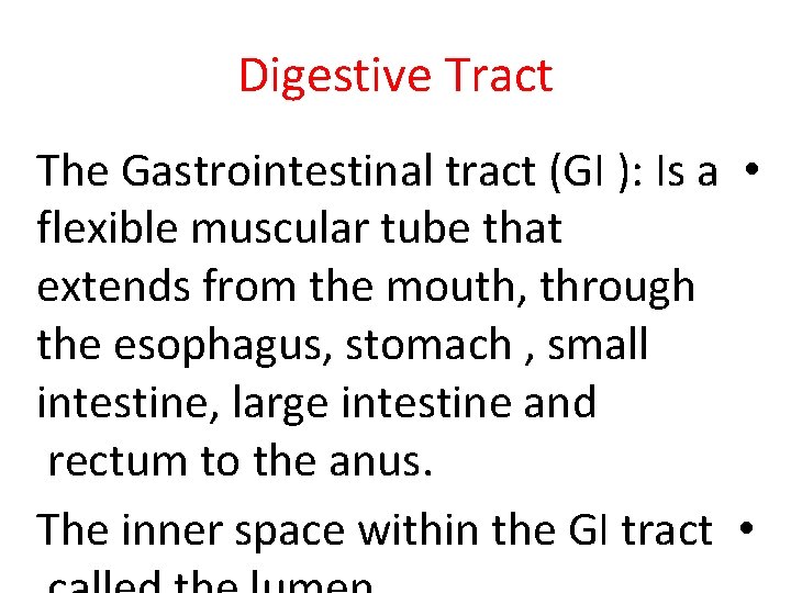 Digestive Tract The Gastrointestinal tract (GI ): Is a • flexible muscular tube that