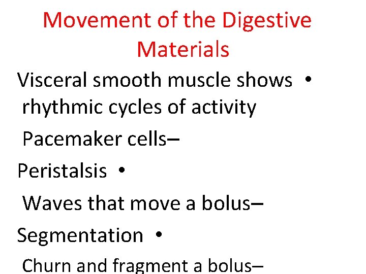 Movement of the Digestive Materials Visceral smooth muscle shows • rhythmic cycles of activity