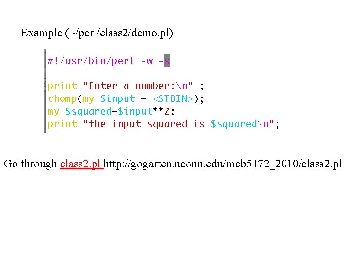 Example (~/perl/class 2/demo. pl) Go through class 2. pl http: //gogarten. uconn. edu/mcb 5472_2010/class