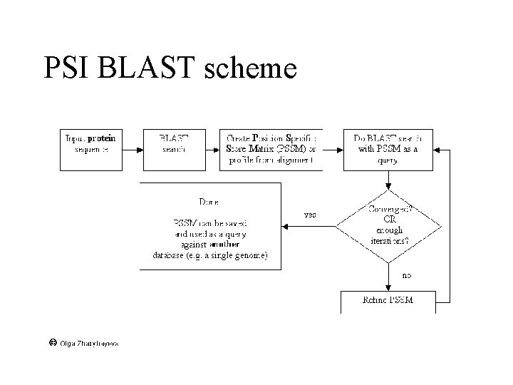 PSI BLAST scheme 