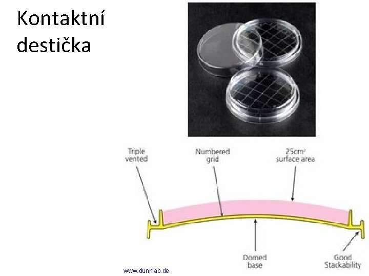 Kontaktní destička www. dunnlab. de 