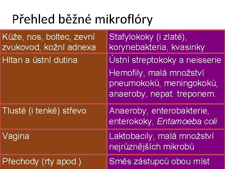 Přehled běžné mikroflóry Kůže, nos, boltec, zevní zvukovod, kožní adnexa Hltan a ústní dutina