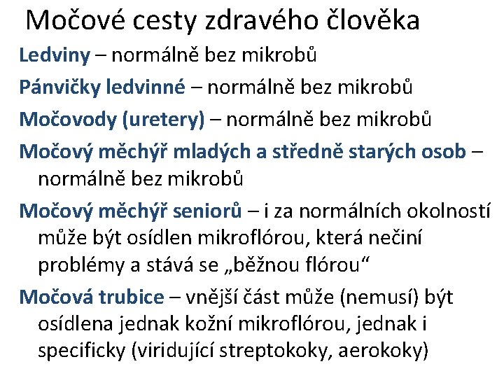 Močové cesty zdravého člověka Ledviny – normálně bez mikrobů Pánvičky ledvinné – normálně bez