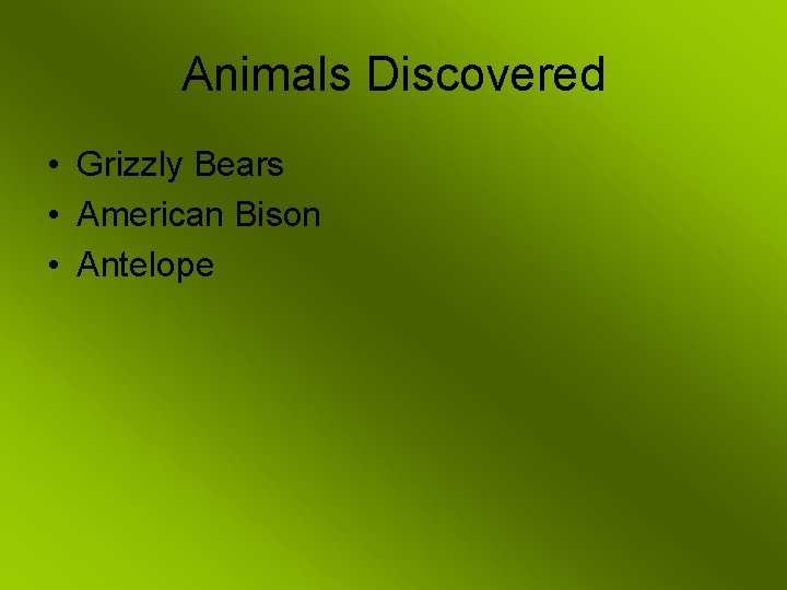 Animals Discovered • Grizzly Bears • American Bison • Antelope 