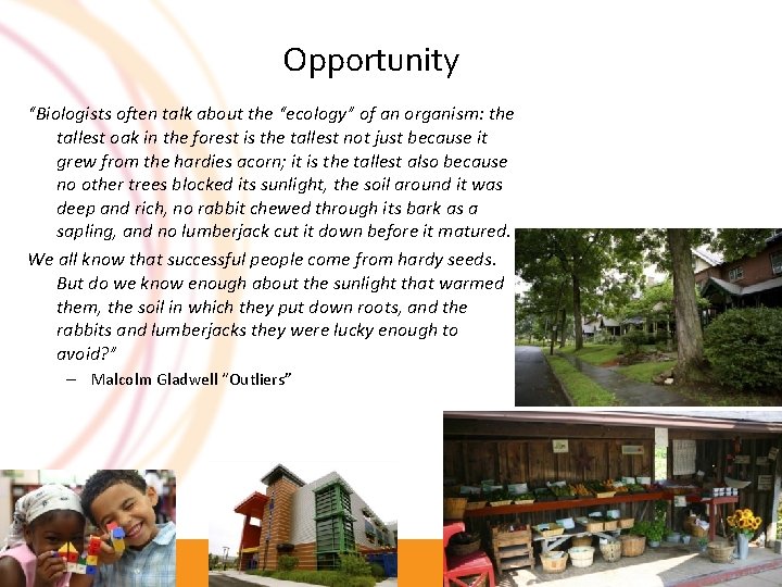 Opportunity “Biologists often talk about the “ecology” of an organism: the tallest oak in Opportunity “Biologists often talk about the “ecology” of an organism: the tallest oak in