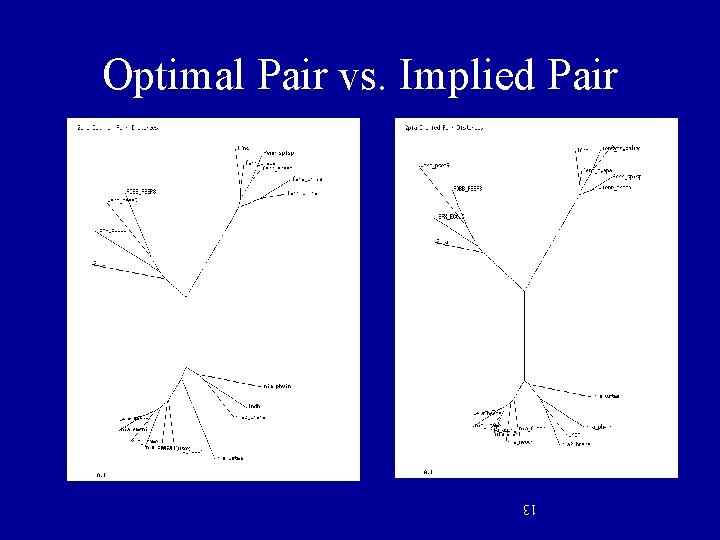 Optimal Pair vs. Implied Pair 13 
