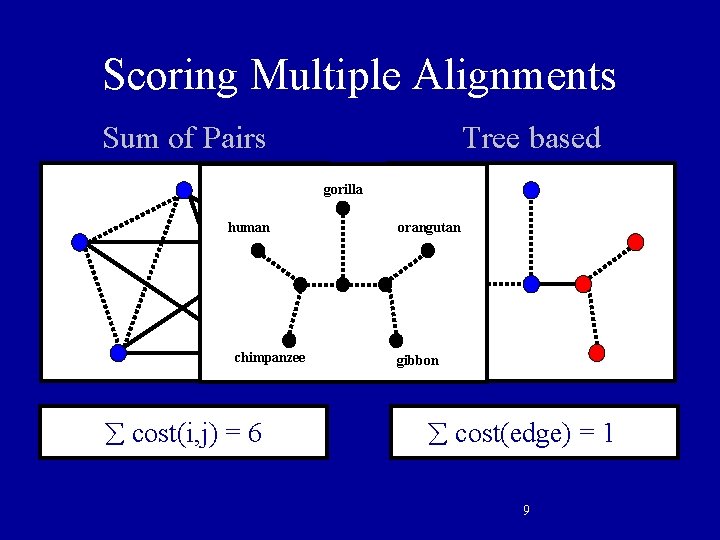 Scoring Multiple Alignments Sum of Pairs Tree based gorilla chimpanzee cost(i, j) =6 orangutan