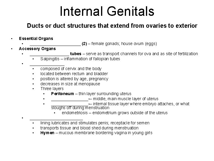 Internal Genitals Ducts or duct structures that extend from ovaries to exterior • •