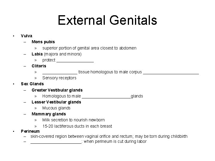 External Genitals • • • Vulva – Mons pubis » superior portion of genital