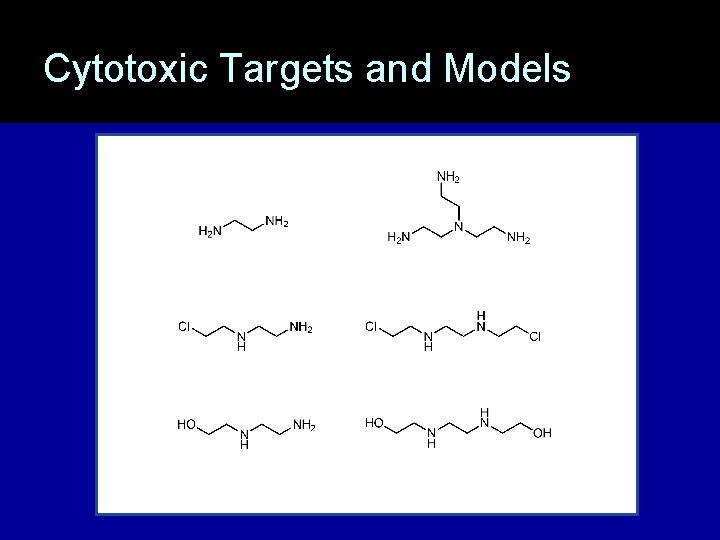 Cytotoxic Targets and Models 