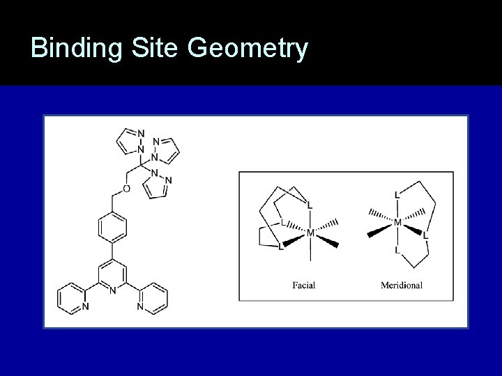 Binding Site Geometry 