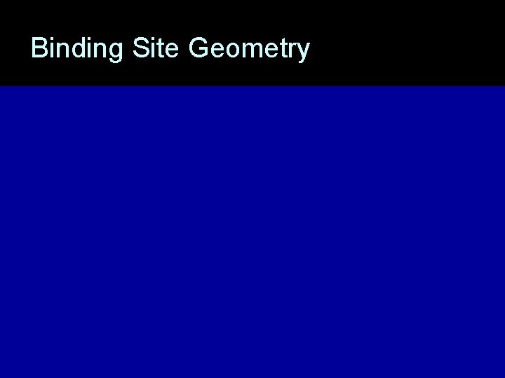 Binding Site Geometry 