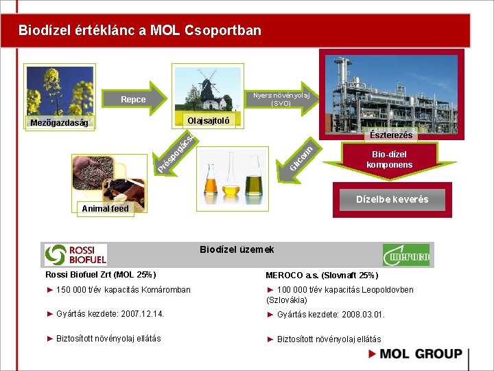 Biodízel értéklánc a MOL Csoportban Nyers növényolaj (SVO) Repce Olajsajtoló Észterezés G Pr lic