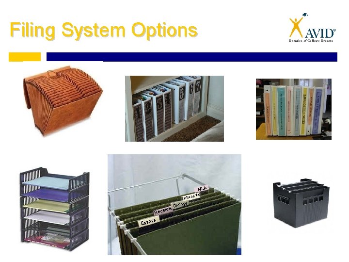 Filing System Options MLA e #s Phon ipts Rece ys Essa gy Biolo 