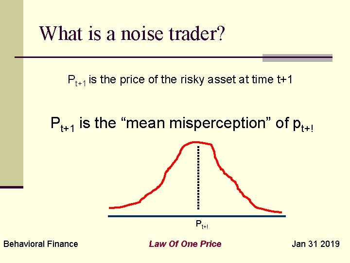 What is a noise trader? Pt+1 is the price of the risky asset at