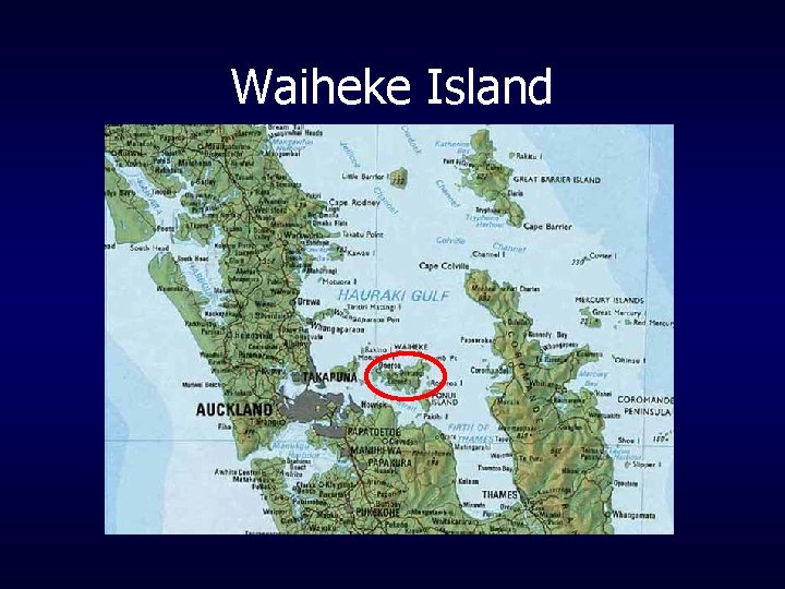 Waiheke Island 