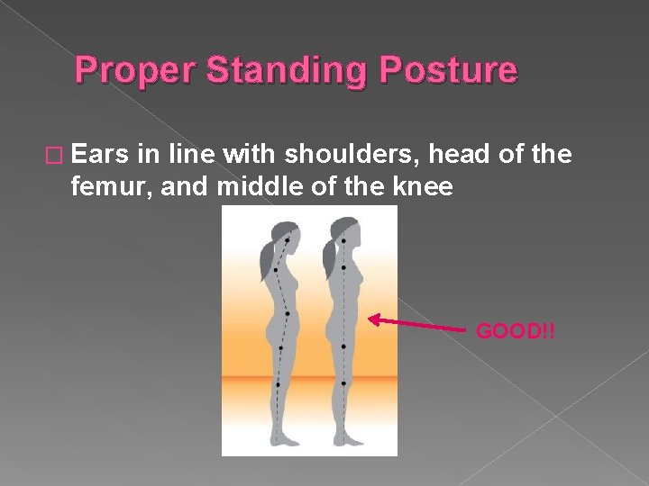 Proper Standing Posture � Ears in line with shoulders, head of the femur, and