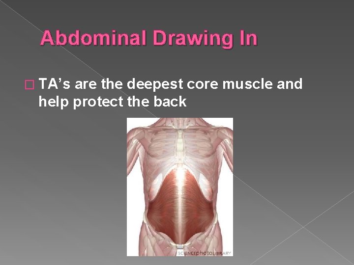 Abdominal Drawing In � TA’s are the deepest core muscle and help protect the