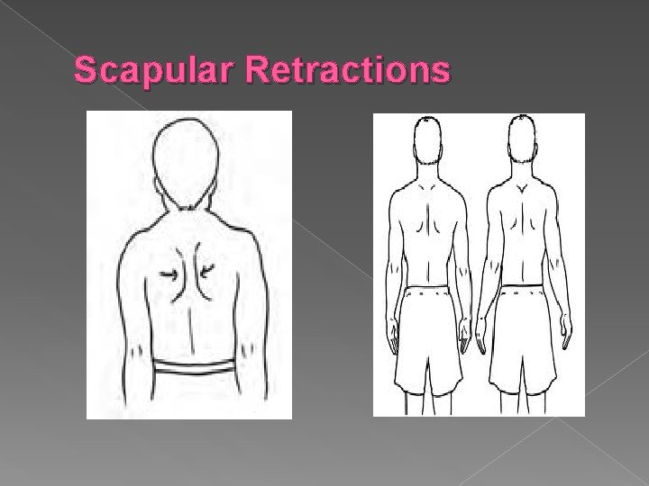 Scapular Retractions 