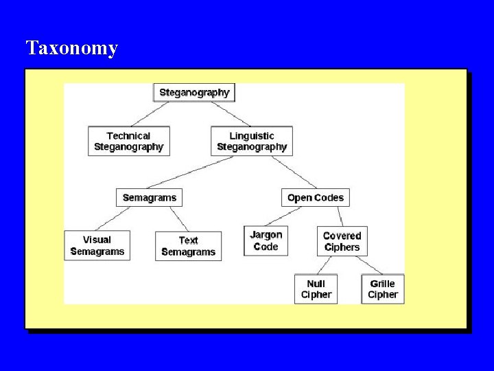 Taxonomy 