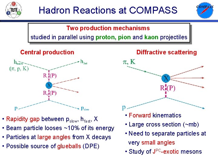 Hadron Reactions at COMPASS Two production mechanisms studied in parallel using proton, pion and
