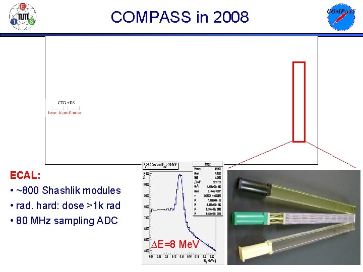 COMPASS in 2008 ECAL: • ~800 Shashlik modules • rad. hard: dose >1 k