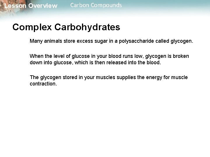 Lesson Overview Carbon Compounds Complex Carbohydrates Many animals store excess sugar in a polysaccharide