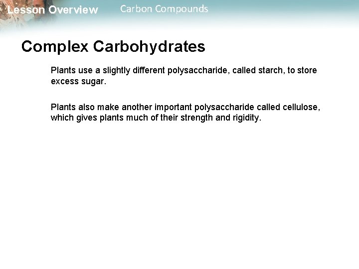 Lesson Overview Carbon Compounds Complex Carbohydrates Plants use a slightly different polysaccharide, called starch,