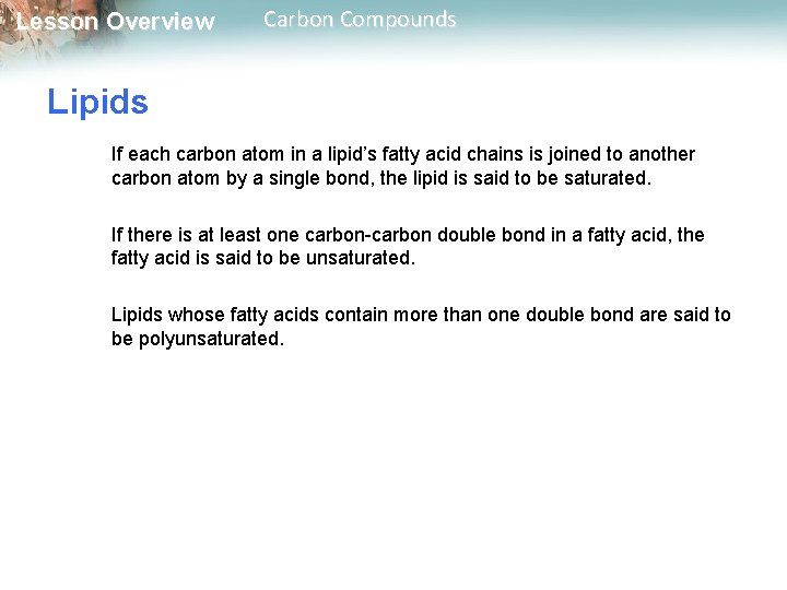 Lesson Overview Carbon Compounds Lipids If each carbon atom in a lipid’s fatty acid