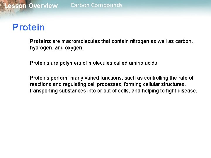 Lesson Overview Carbon Compounds Proteins are macromolecules that contain nitrogen as well as carbon,