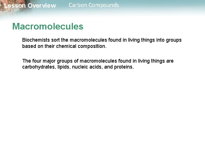 Lesson Overview Carbon Compounds Macromolecules Biochemists sort the macromolecules found in living things into