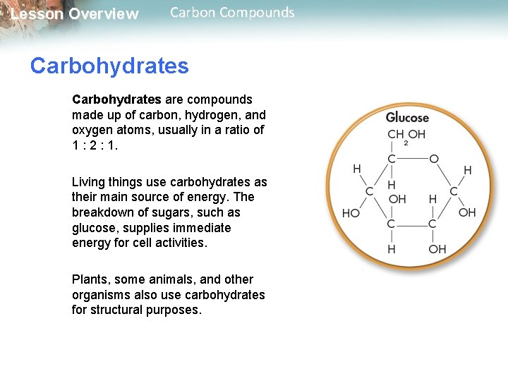 Lesson Overview Carbon Compounds Carbohydrates are compounds made up of carbon, hydrogen, and oxygen