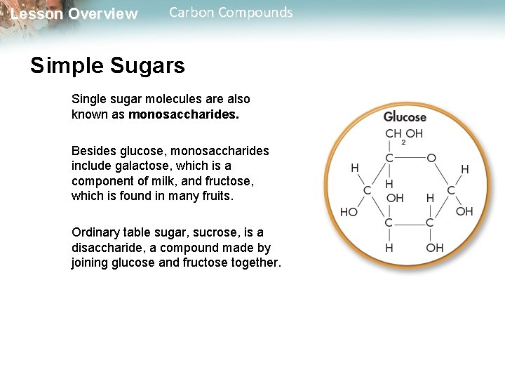 Lesson Overview Carbon Compounds Simple Sugars Single sugar molecules are also known as monosaccharides.