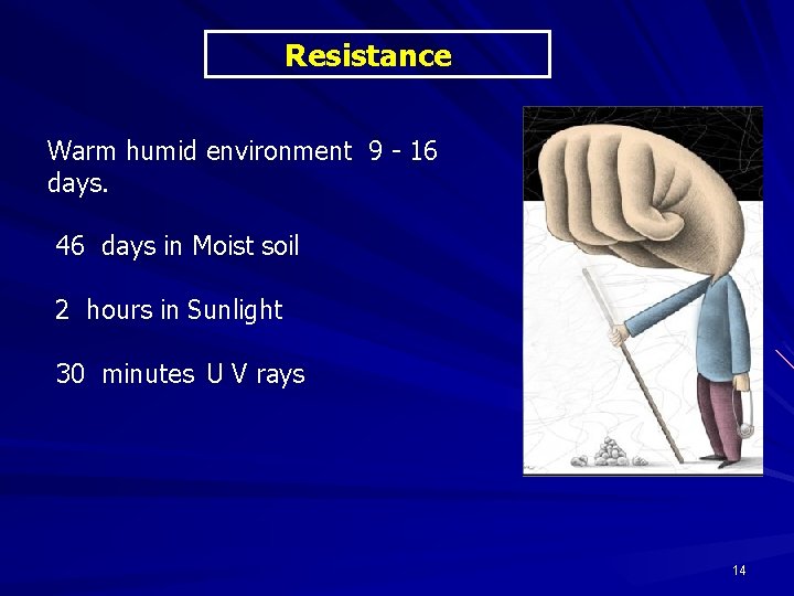 Resistance Warm humid environment 9 - 16 days. 46 days in Moist soil 2