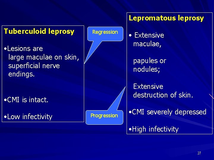 Lepromatous leprosy Tuberculoid leprosy Regression • Lesions are large maculae on skin, superficial nerve