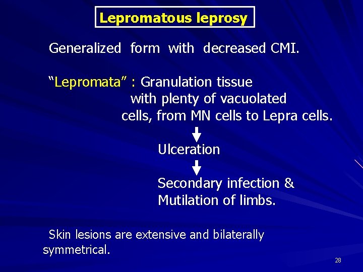 Lepromatous leprosy Generalized form with decreased CMI. “Lepromata” : Granulation tissue with plenty of