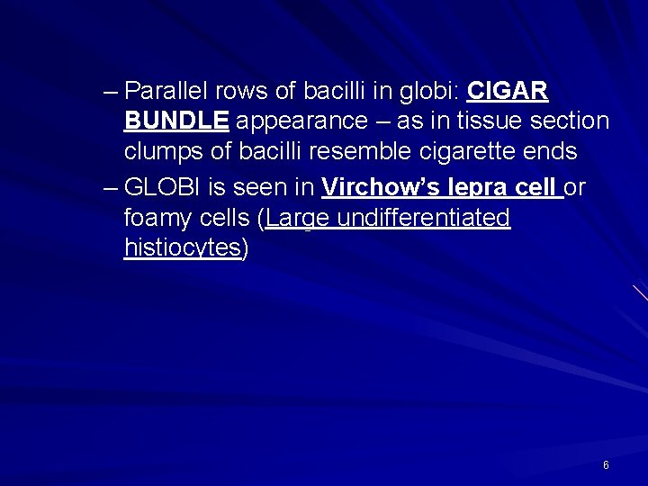 – Parallel rows of bacilli in globi: CIGAR BUNDLE appearance – as in tissue