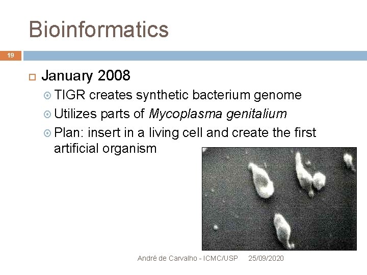 Bioinformatics 19 January 2008 TIGR creates synthetic bacterium genome Utilizes parts of Mycoplasma genitalium